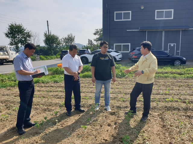 temp_1753255713344.-723612048