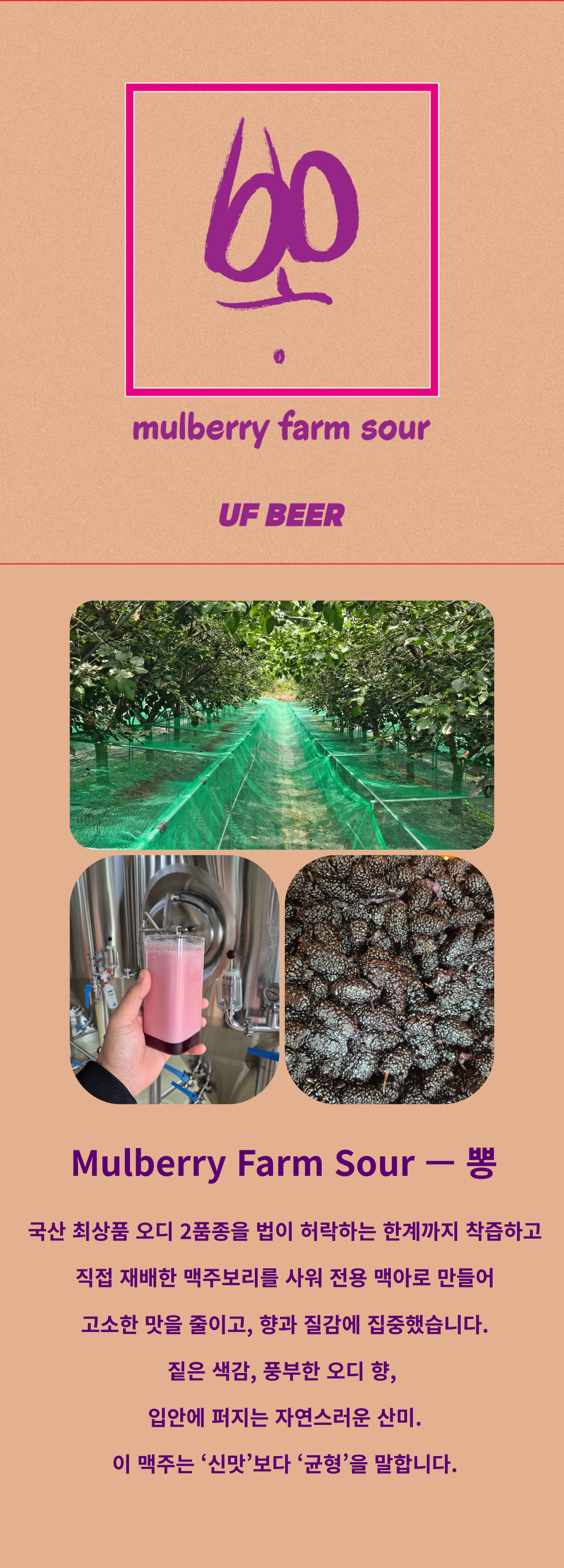8de63a46016ef.png