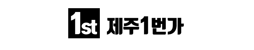 제주도 버스투어 원데이 패키지 일일 뚜벅이 제주동쪽감성코스/제주동쪽아쿠아감성코스
