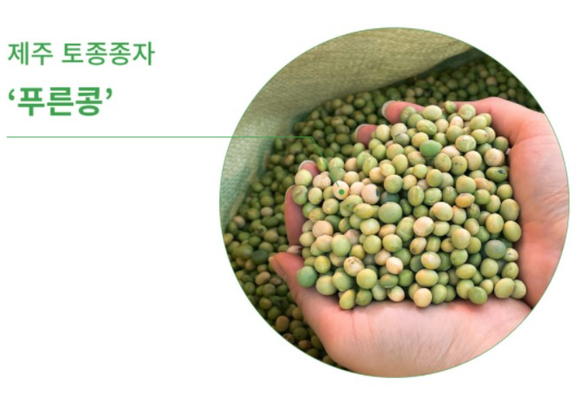 제주 푸른콩 하루 한 잔