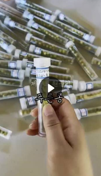 제주 푸른콩 하루 한 잔