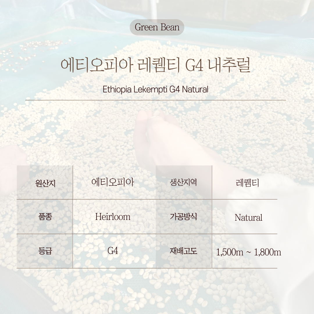에티오피아 레퀨티 G4 내추럴