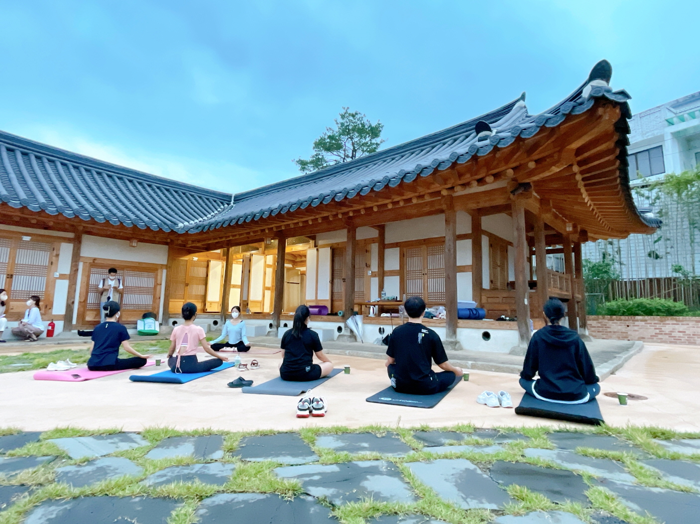 d81949c3cad5e.png