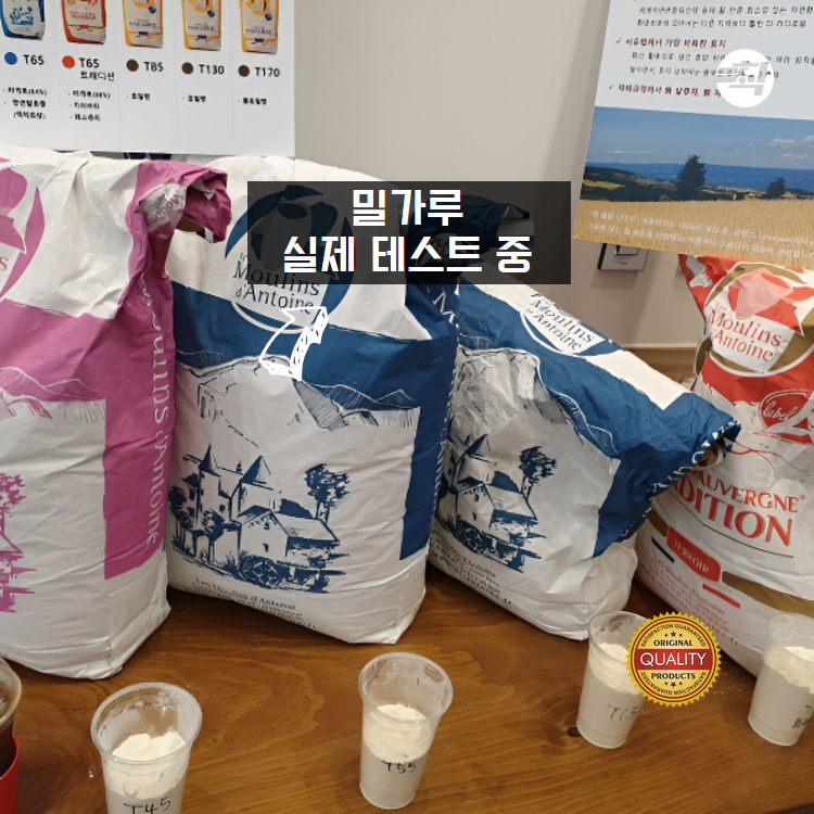 프랑스밀가루 레물랑단뚜안 T65 트라디숑 2박스