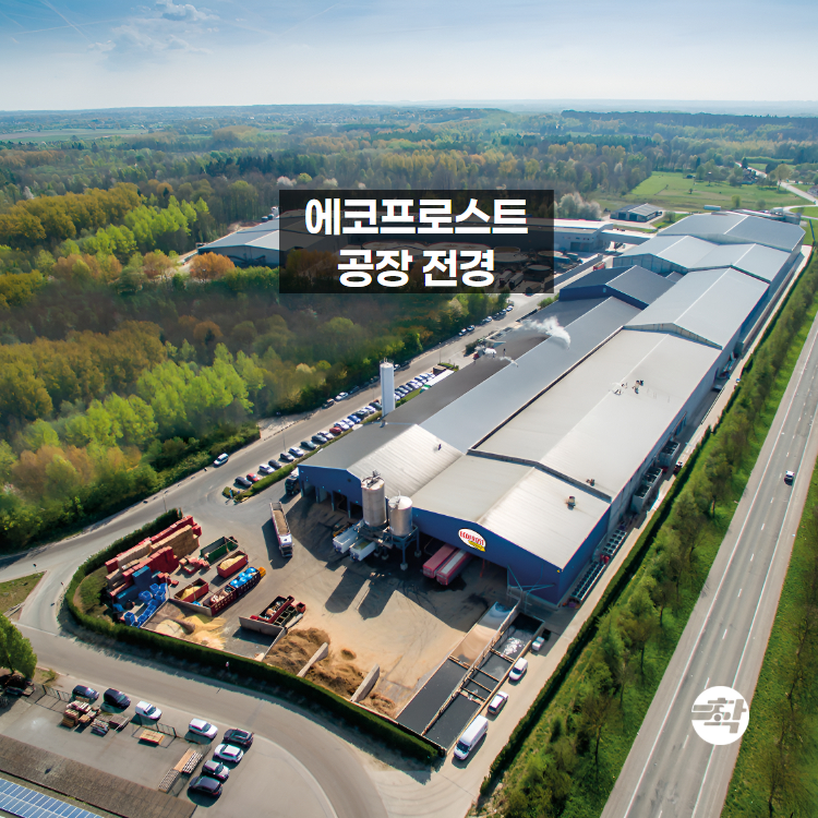탑차배송 스킨온크런치12mm 에코프로스트 벨기에 감자튀김 3박스