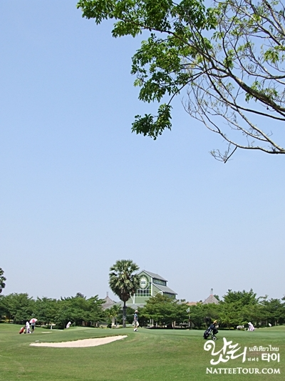 378b3f93cbb57.png
