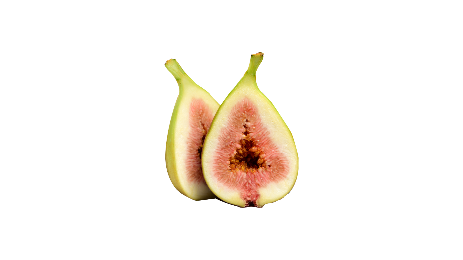 e66409ba9c09d.png