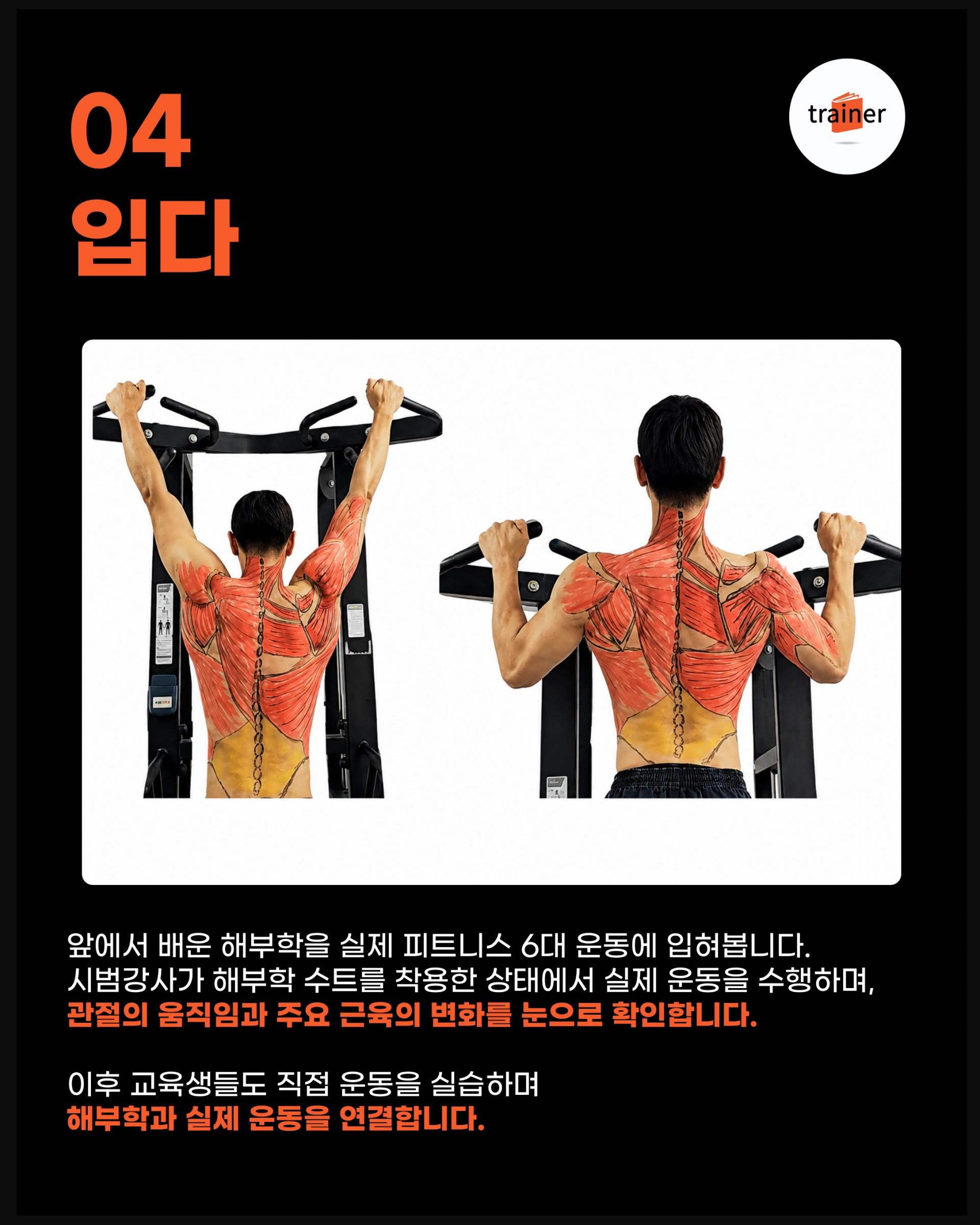 그림으로 배우는 실넌 피지컬 해부학 - 해부학을 입다