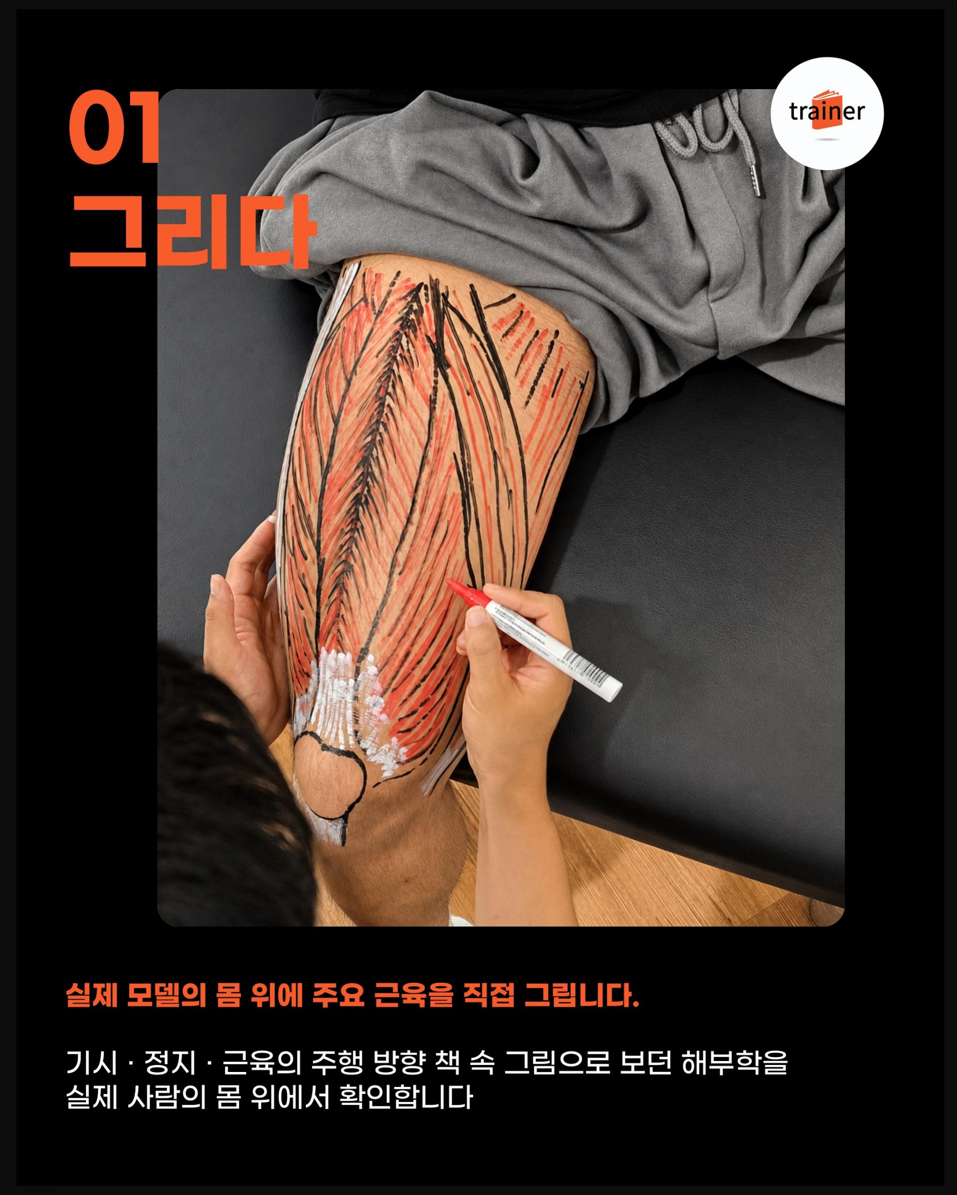 그림으로 배우는 실넌 피지컬 해부학 - 해부학을 입다