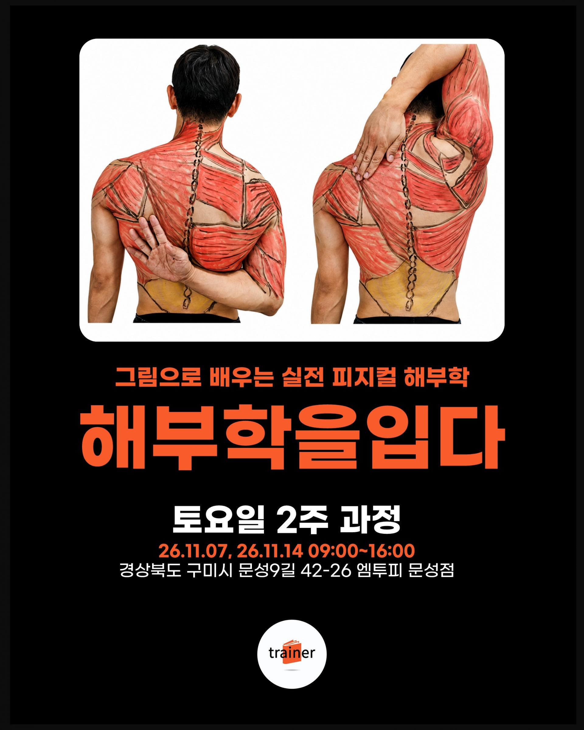 그림으로 배우는 실넌 피지컬 해부학 - 해부학을 입다