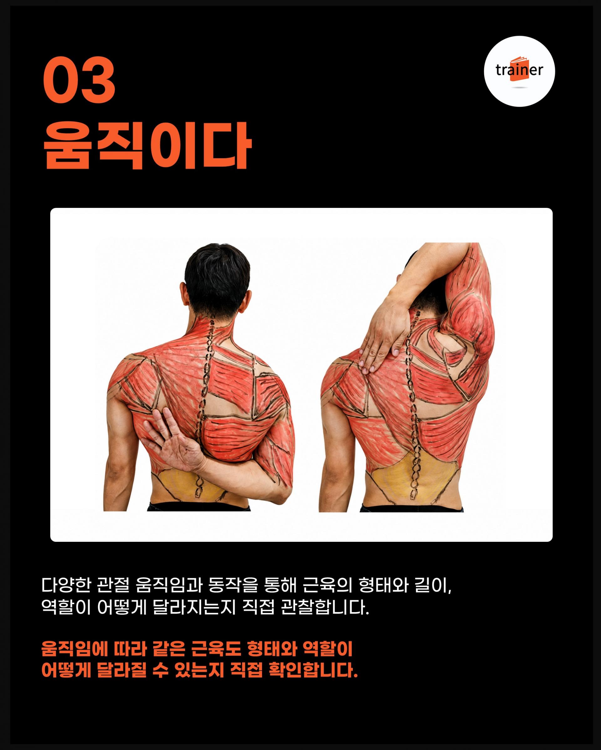 그림으로 배우는 실넌 피지컬 해부학 - 해부학을 입다