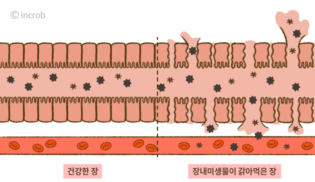 39fcbc1ec9b14.jpg