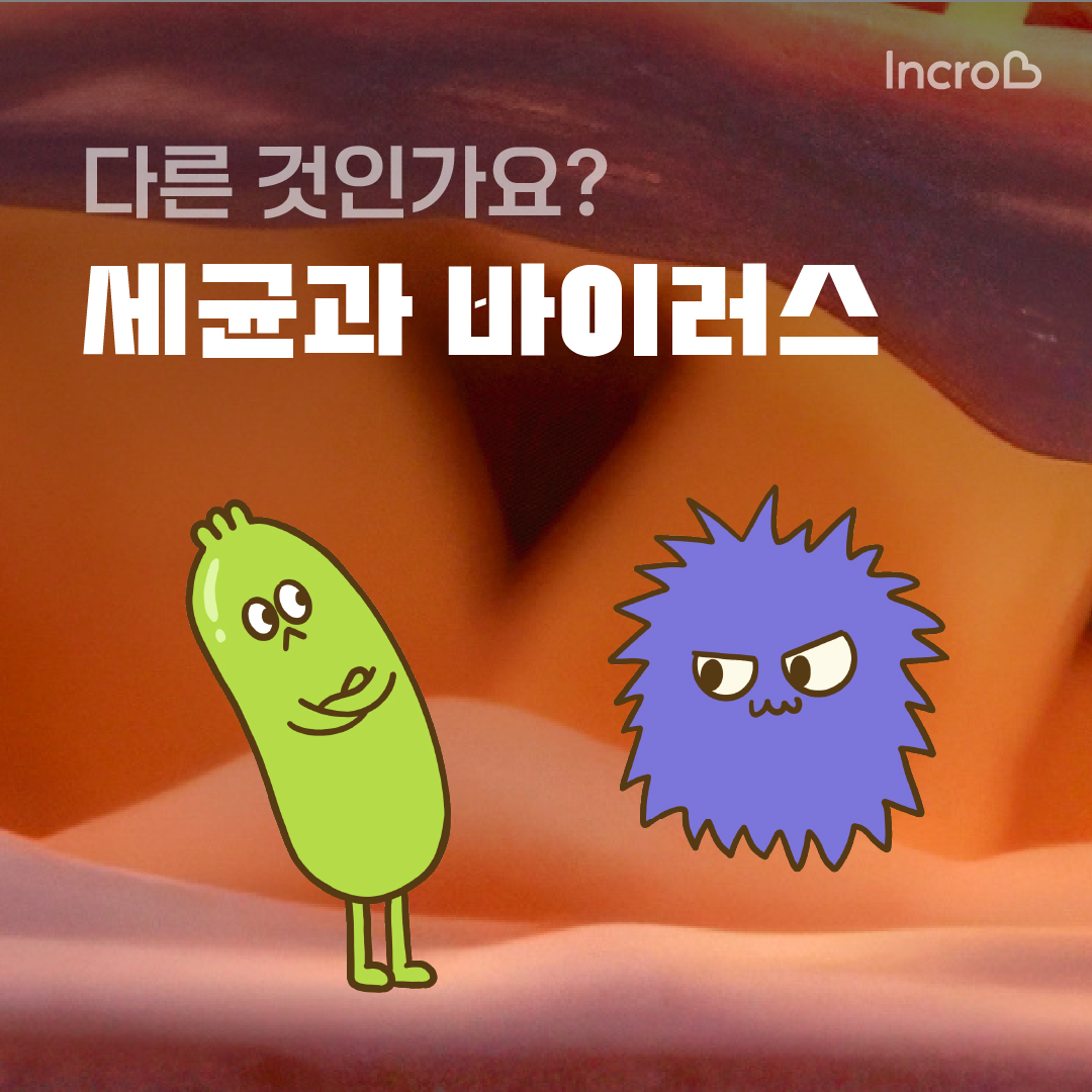 4e10cb1c642c8.jpg