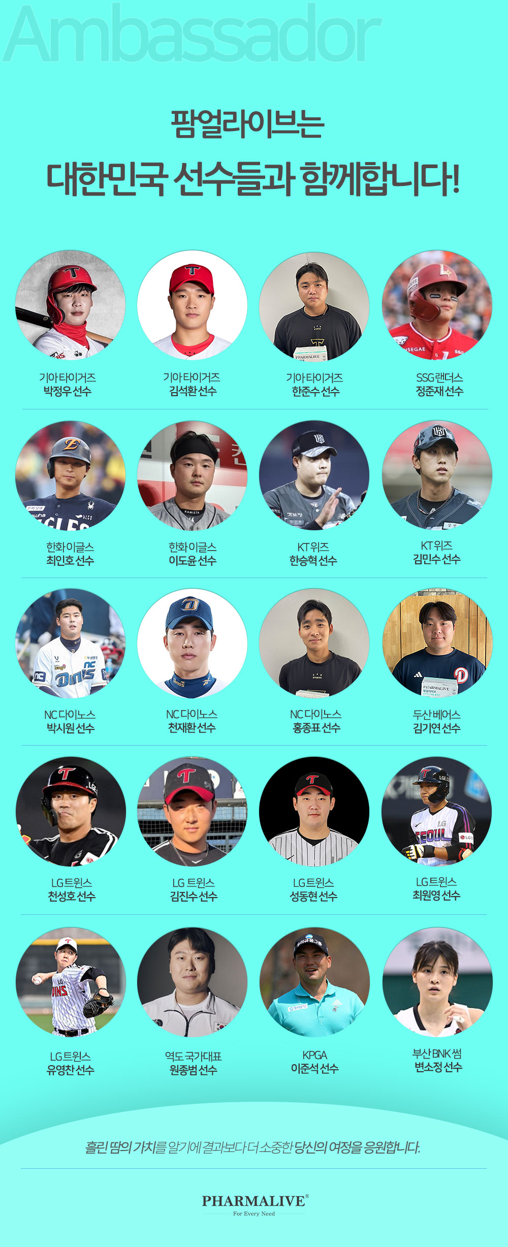 [유기염 마그네슘] 팜얼라이브 슈퍼마그네슘플러스 다이렉트 60ea 3개