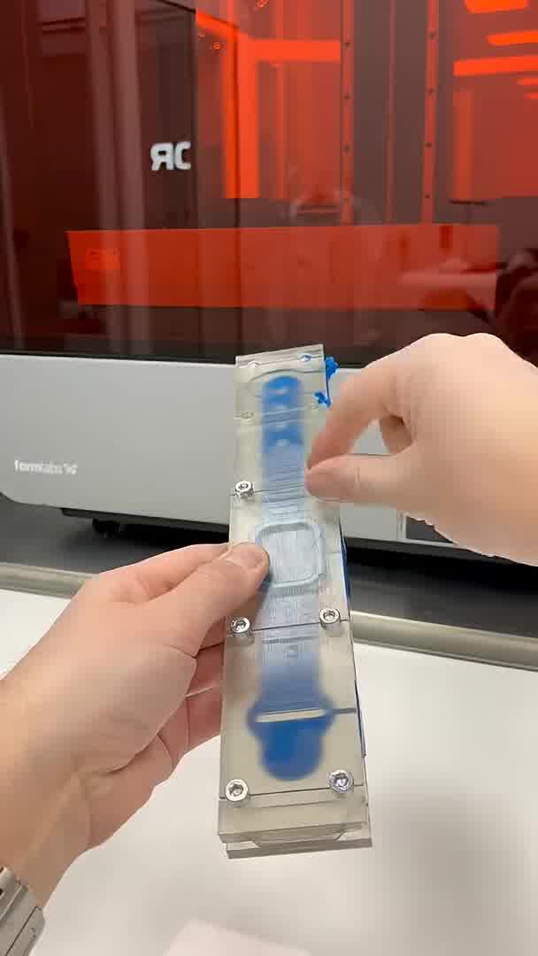 46feae60f327b.jpg