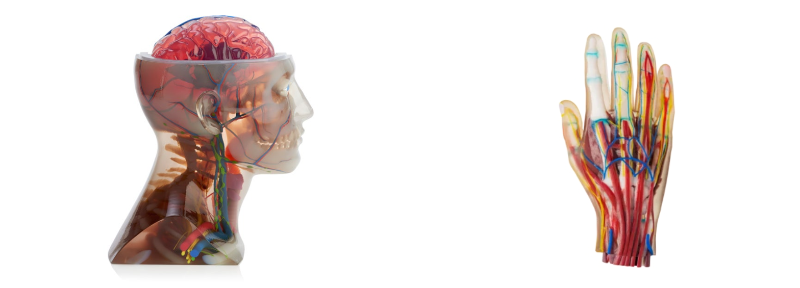 fd1ba1679e055.png