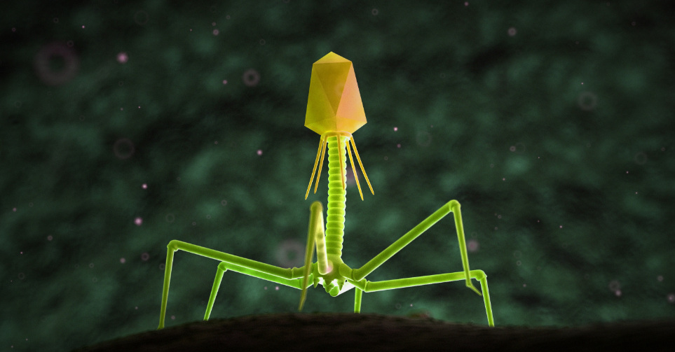 Bacteriophage 1.png