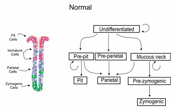 5e7d451821a05.png
