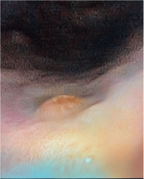 8e31c0d9f072e.png