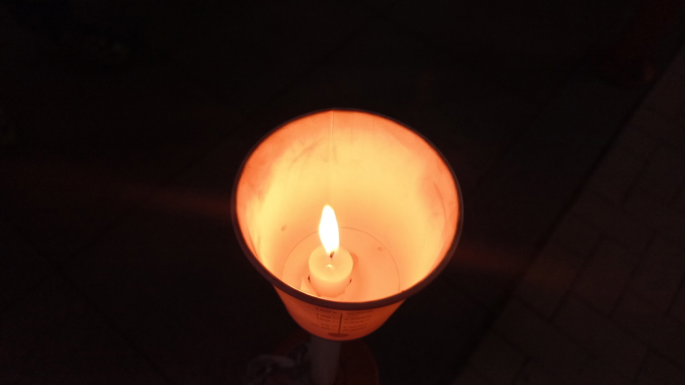 295d4ef6fd874.jpg