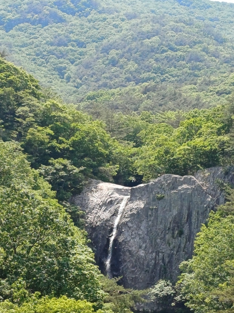 35f50bf1d30b9.jpg