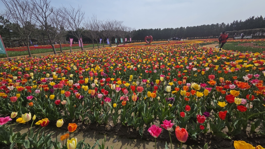494b693cbe6d5.jpg
