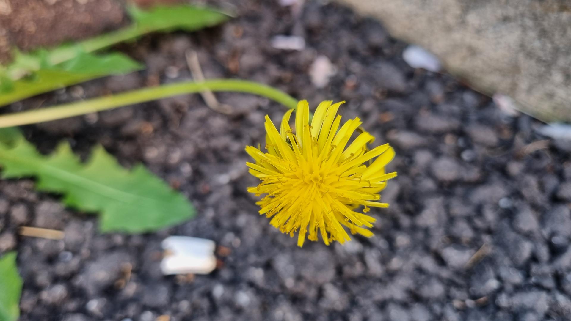 58a0e4fd853ef.jpg