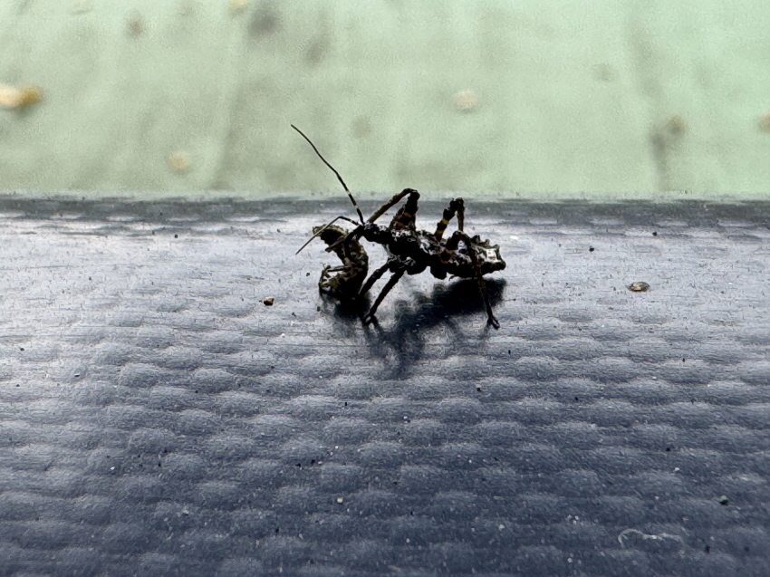 7a89d3030be63.jpg