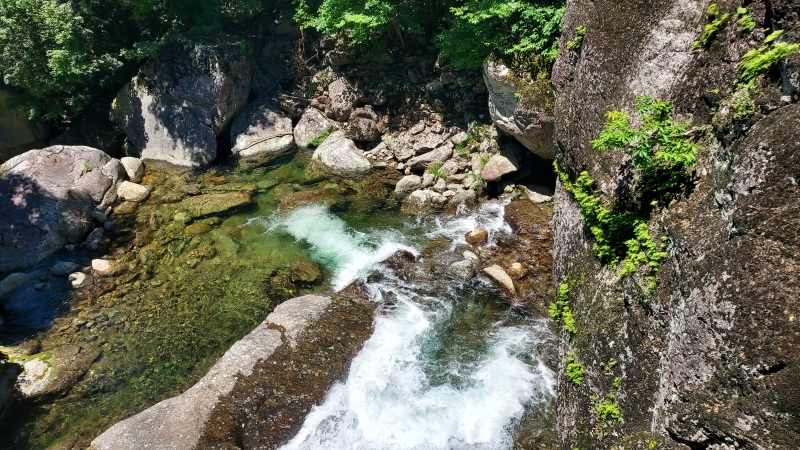 997f2145cf08a.jpg