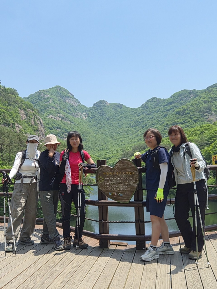c991431949cd7.jpg