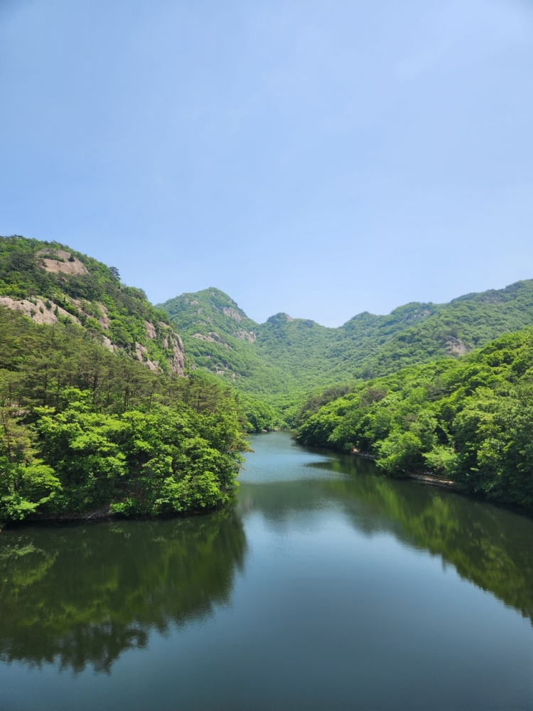 d5d5d279416ae.jpg