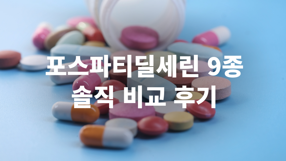 포스파티딜세린 9종 솔직 비교 후기