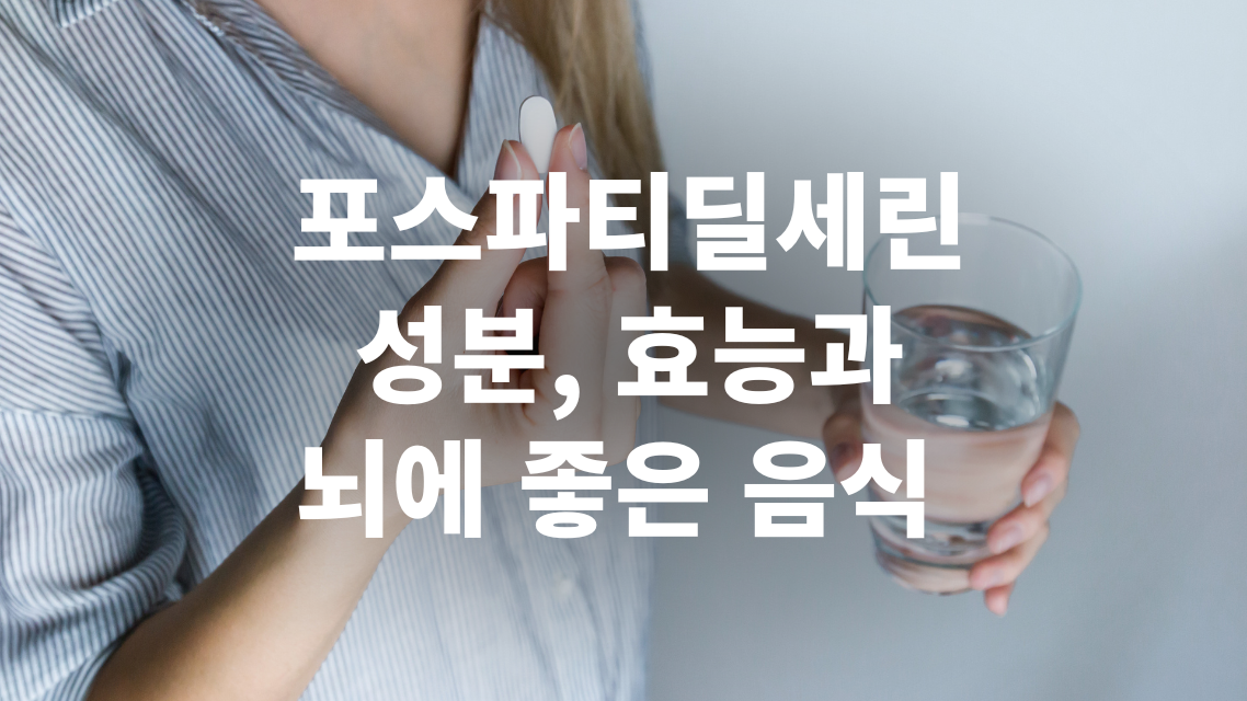 포스파티딜세린 성분, 효능과 뇌에 좋은 음식