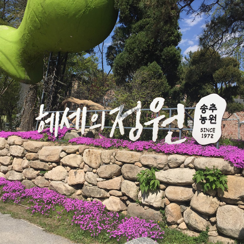a55186a14a7fd.jpg
