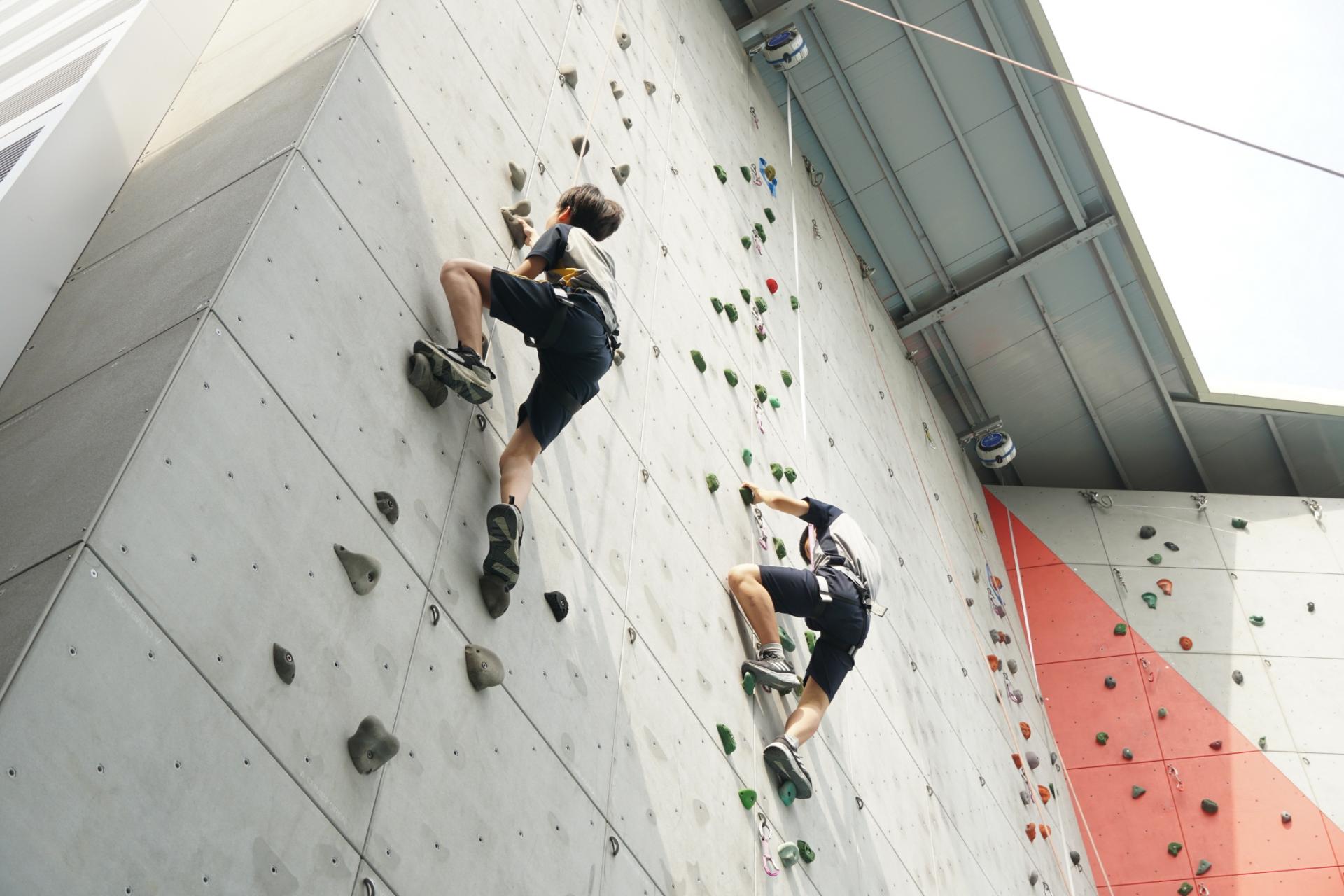 a8c3b43e2ec97.jpg