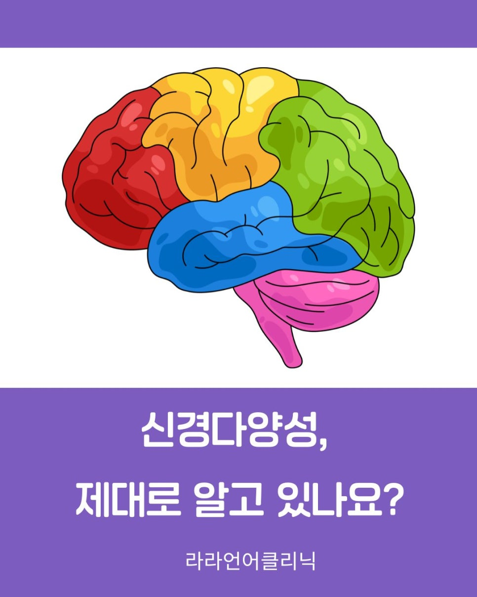 2e607b395b913.png