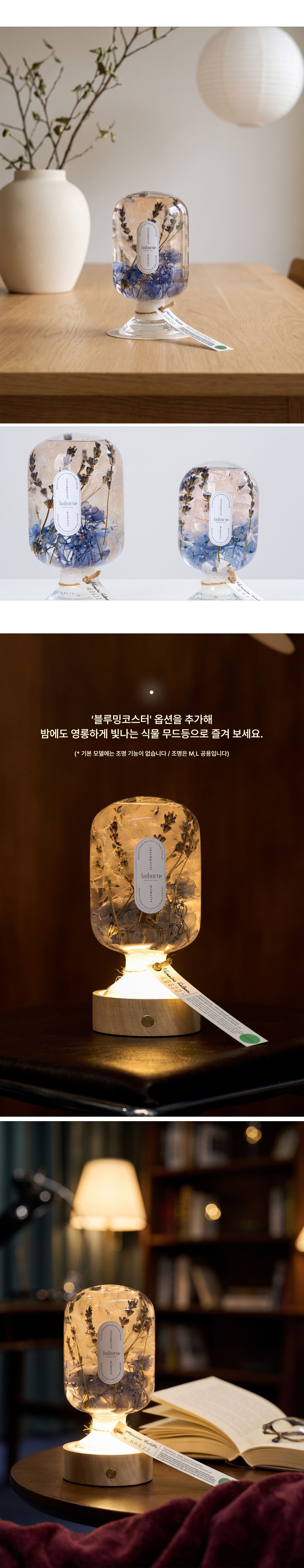 [이달의 큐레이션 기프트 패키지] Season's Regards 시즌스 리가드
