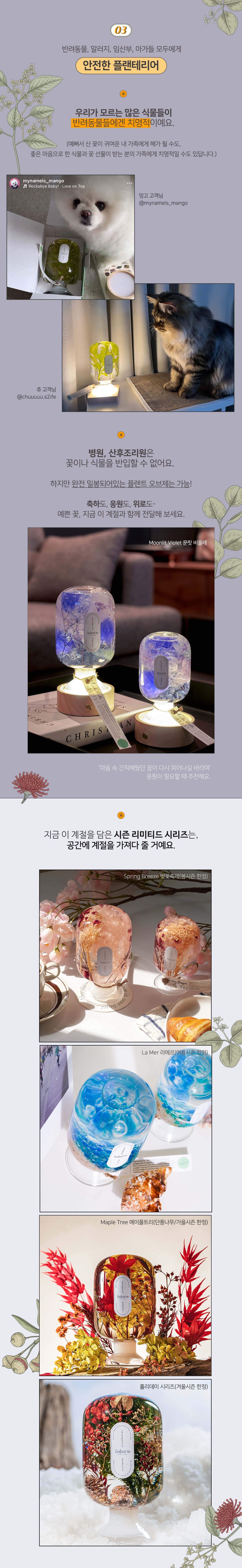 [이달의 큐레이션 기프트 패키지] Season's Regards 시즌스 리가드