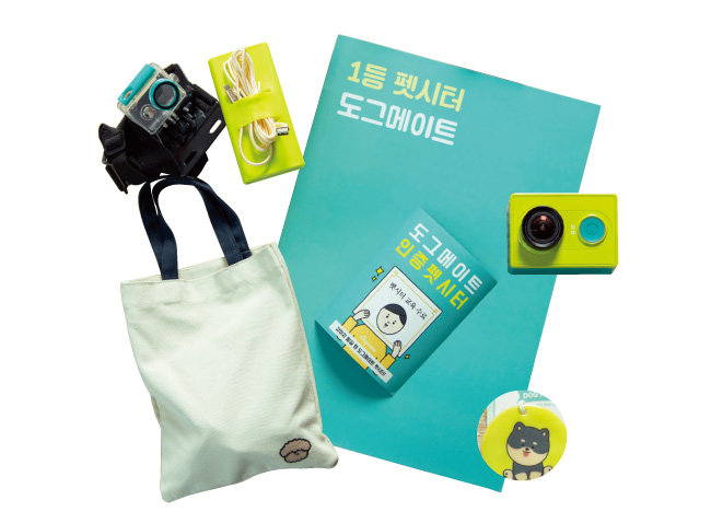 액션캠 장비, 이중 산책 줄, 명함, 배변 가방 등 도그메이트가 펫시터에게 제공하는 물품들.