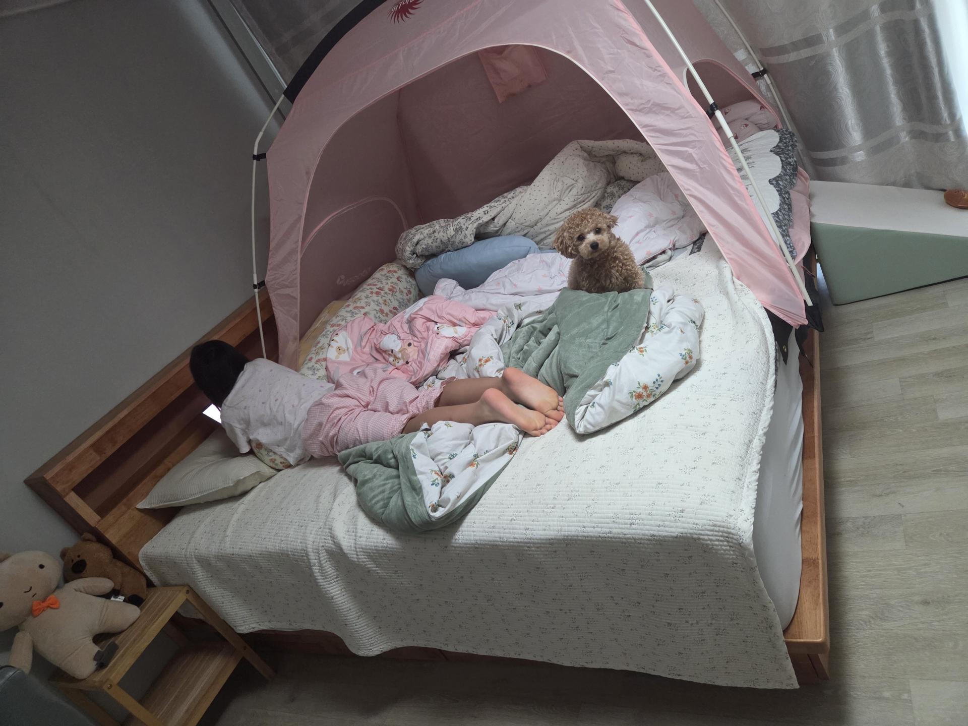 01137d08464f9.jpg