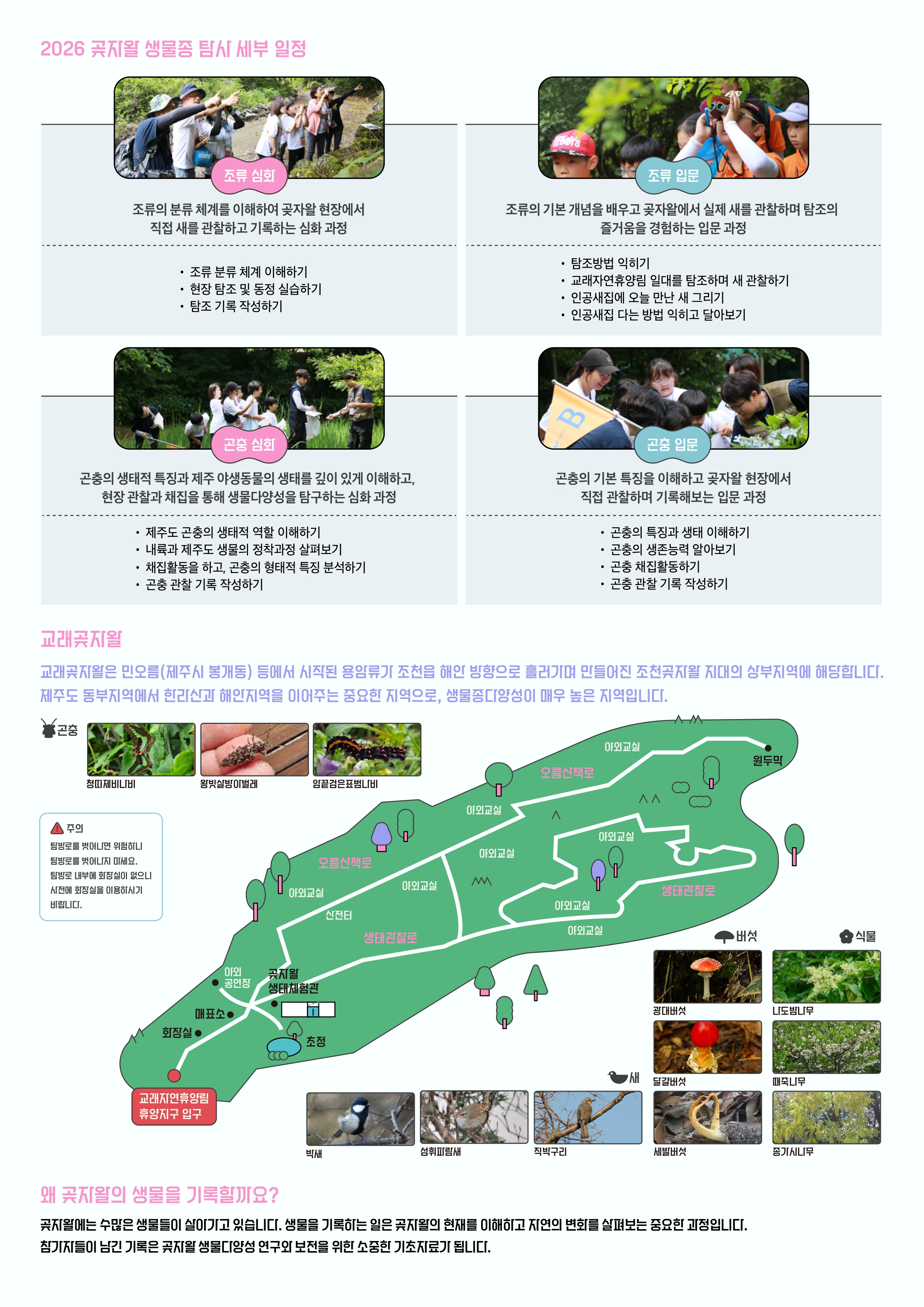 70f069d421465.jpg