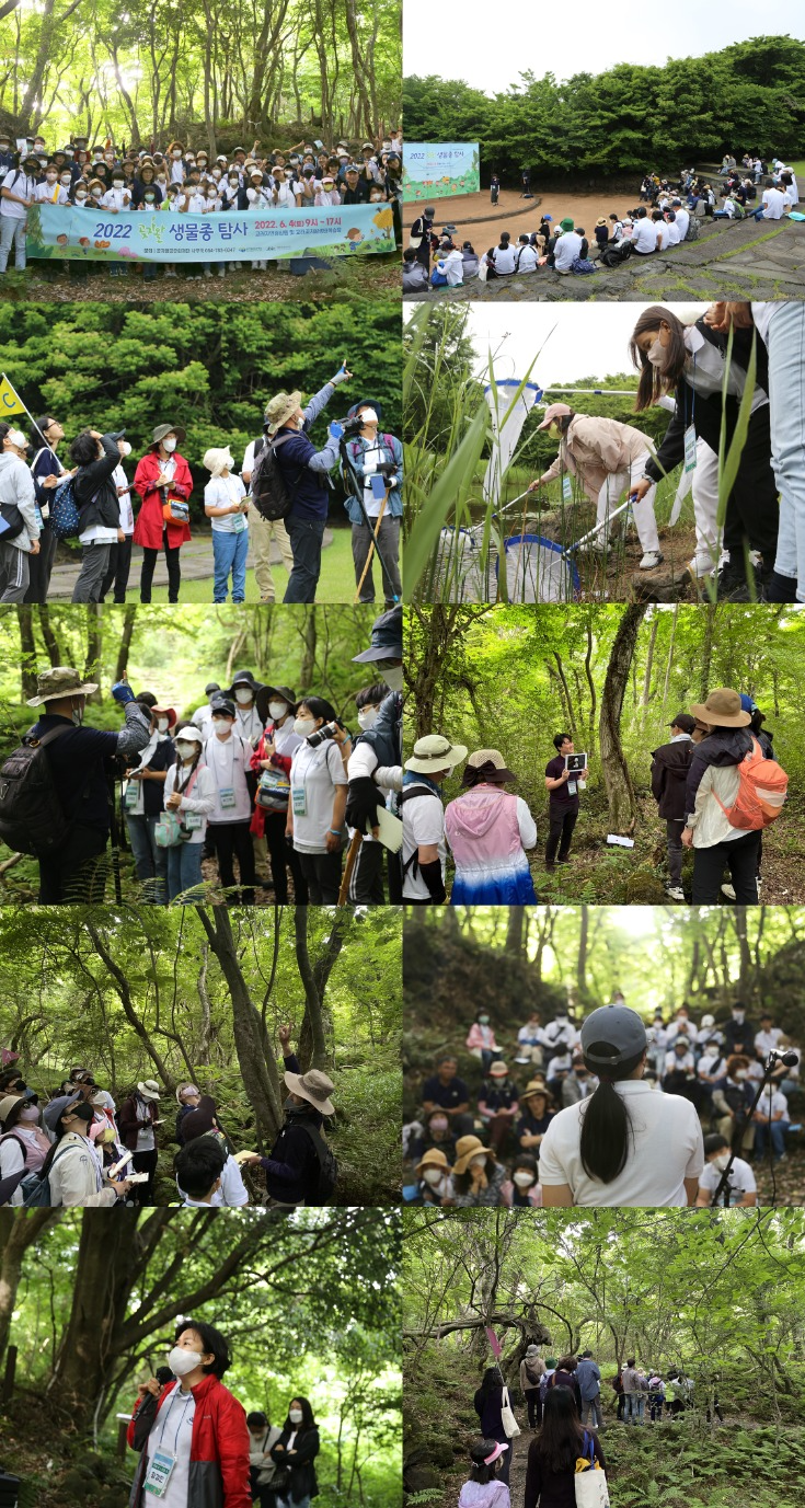 2022 곶자왈생물종 탐사 추린사진 모음2-tile.jpg