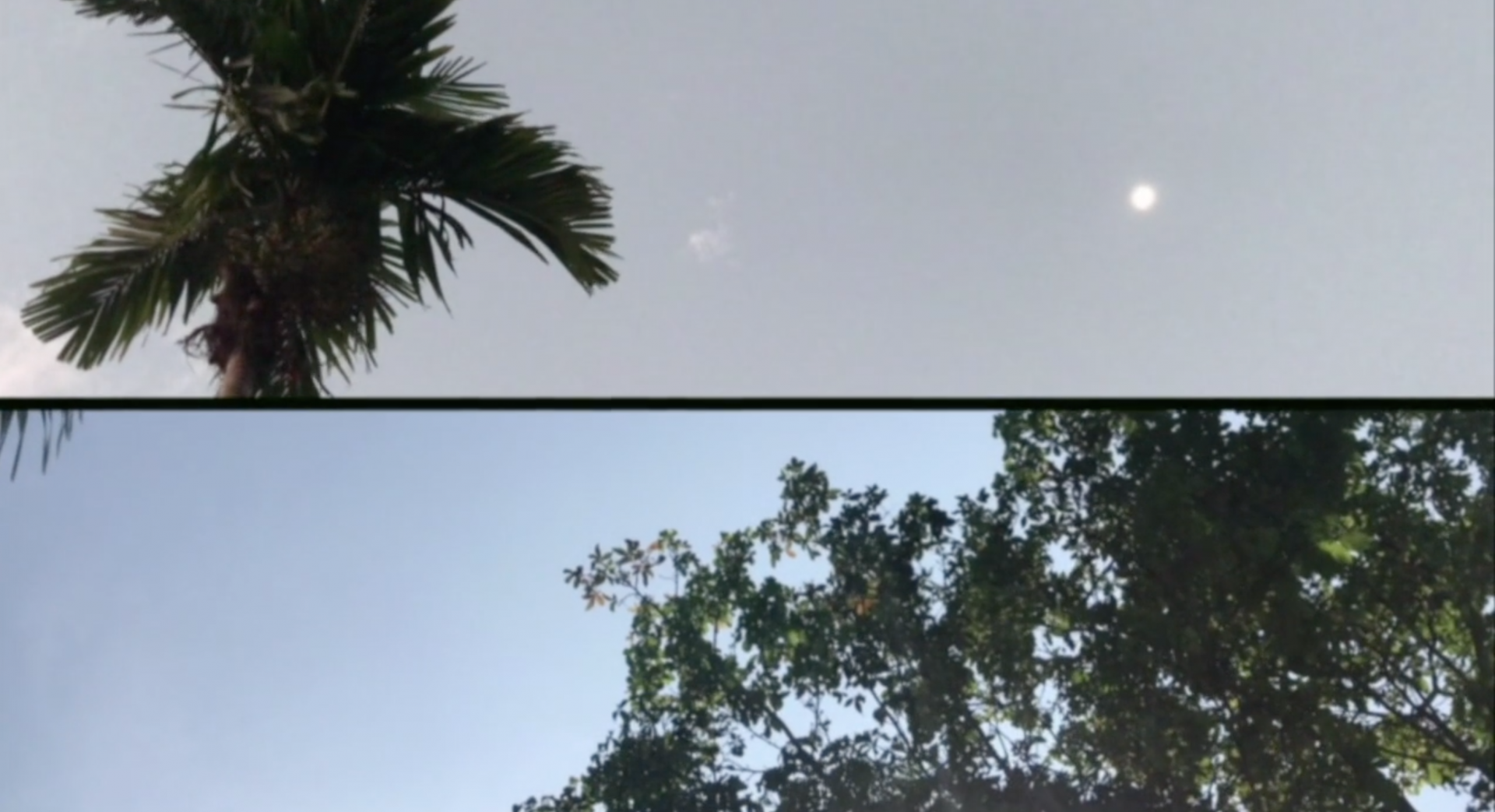8ea260b25f74d.png