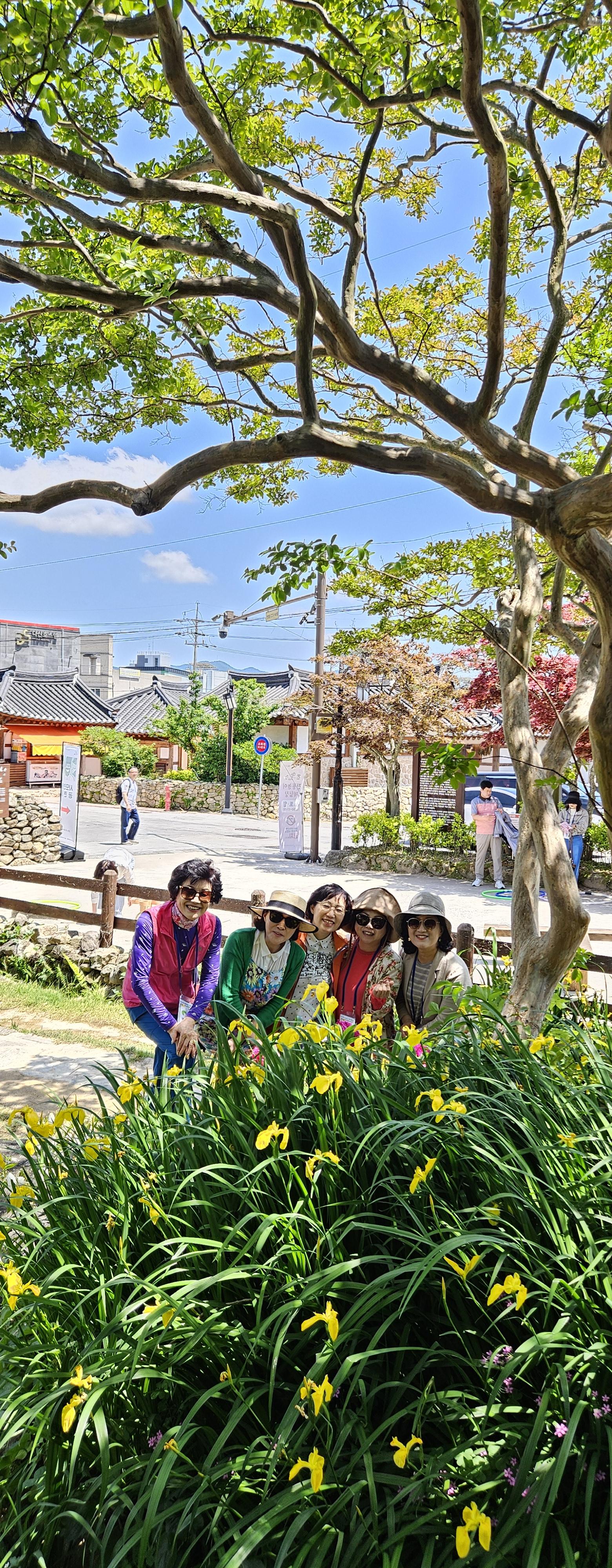 a0ed61464c709.jpg