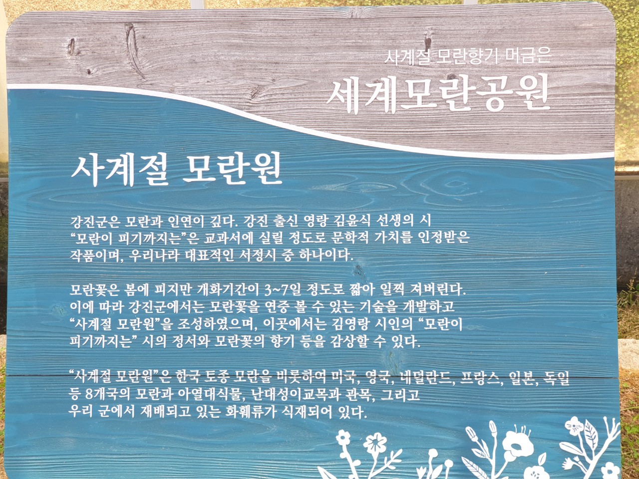 d52ed93225500.jpg