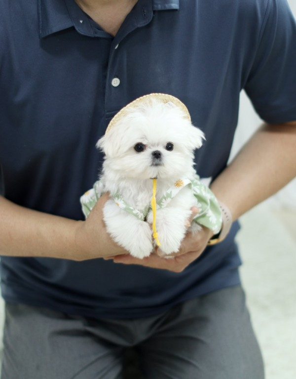 KakaoTalk_20210723_104619517_02.jpg