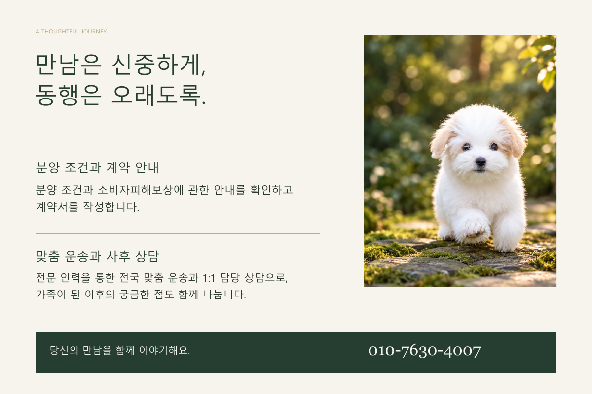 처음의 설렘이 오래도록 이어지도록. 계약과 기준을 함께 확인하고, 전국 이동 방법을 상담하며, 가족이 된 이후에도 일대일로 돌봄을 안내합니다. 전화 상담 010-7630-4007.