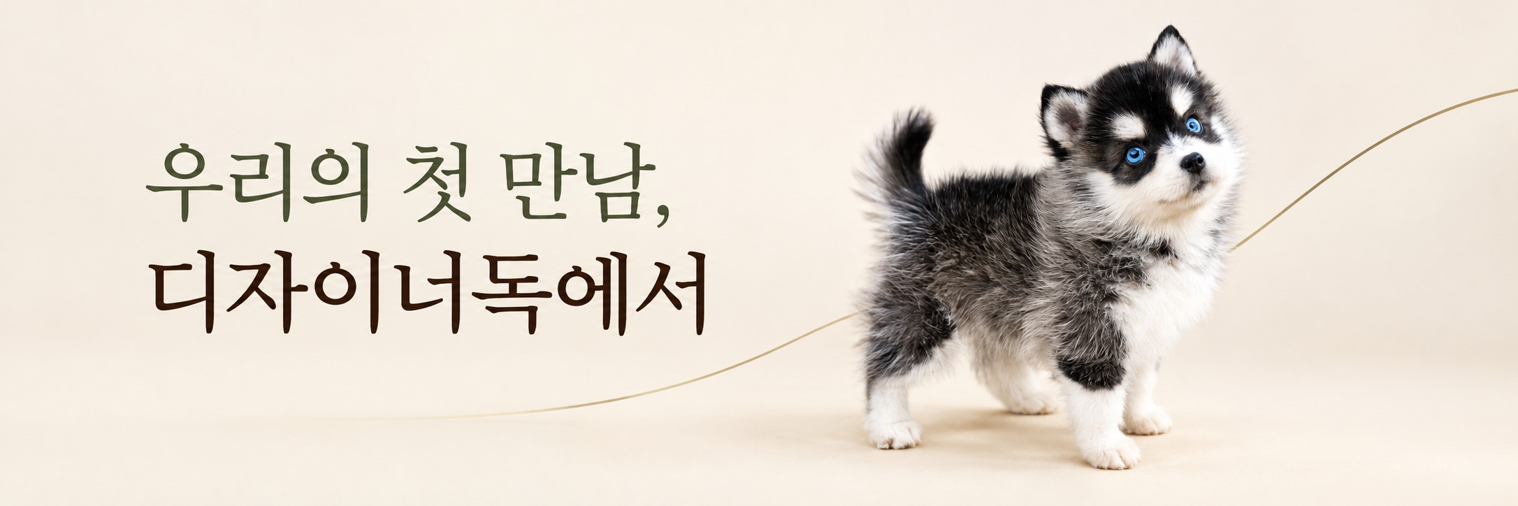 우리의 첫 만남, 디자이너독에서. 아이보리 배경의 파란 눈 강아지