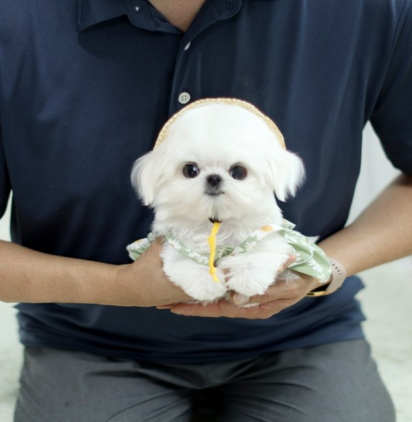 KakaoTalk_20210725_101913033.jpg