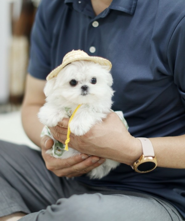 KakaoTalk_20210723_104619517.jpg